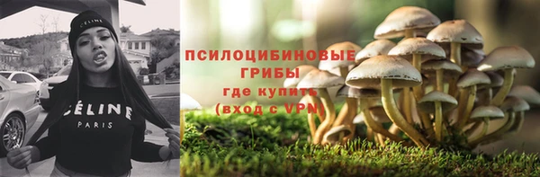 индика Бородино