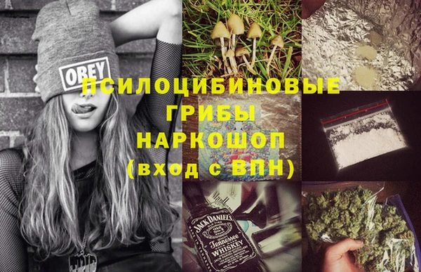 PSILOCYBIN Бугульма