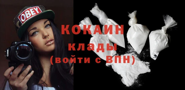индика Бородино
