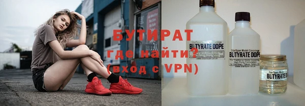 индика Бородино