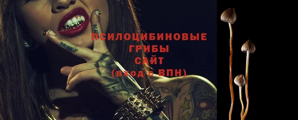 индика Бородино