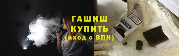 индика Бородино