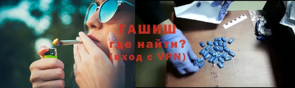 индика Бородино