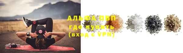 индика Бородино
