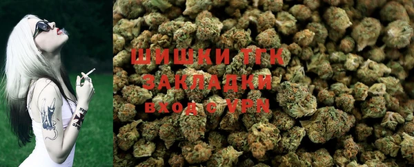 PSILOCYBIN Бугульма