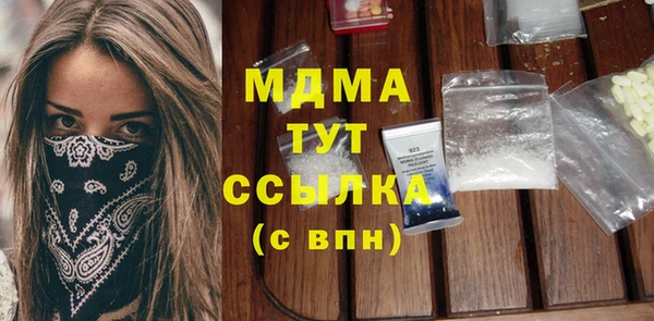 индика Бородино