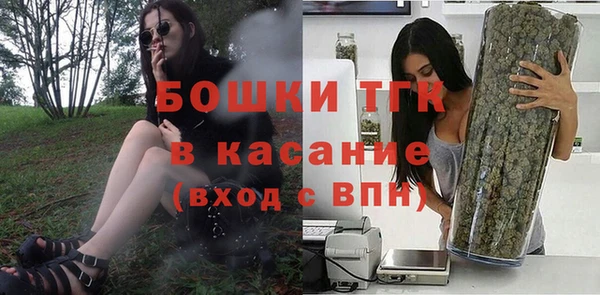 индика Бородино
