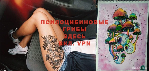 индика Бородино