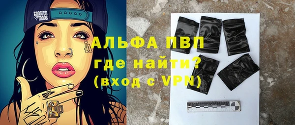 индика Бородино
