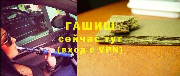 индика Бородино