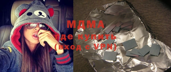 индика Бородино