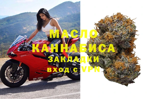 индика Бородино