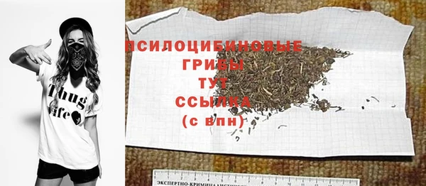 PSILOCYBIN Бугульма