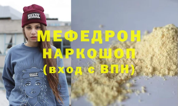индика Бородино