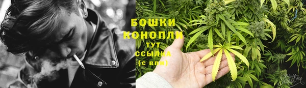 PSILOCYBIN Бугульма