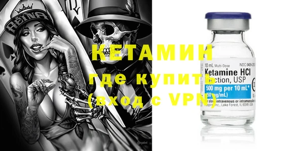 индика Бородино